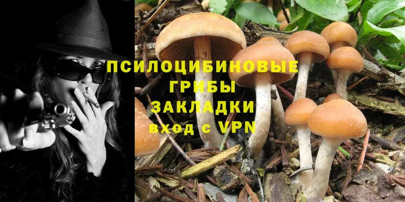 Псилоцибиновые грибы MAGIC MUSHROOMS  Каргополь 